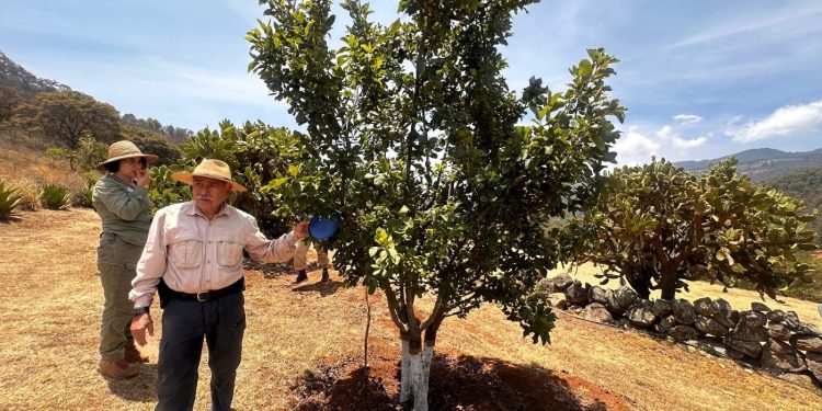 Foturmich busca nuevas experiencias para los visitantes de Rancho Viejoñ