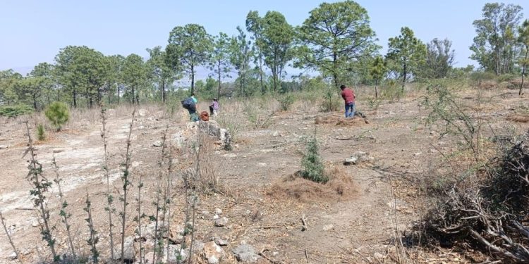 Conmemora Gobierno de Tarímbaro Día Mundial del Medioambiente
