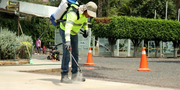 Zoológico de Morelia, pionero en purificación del aire