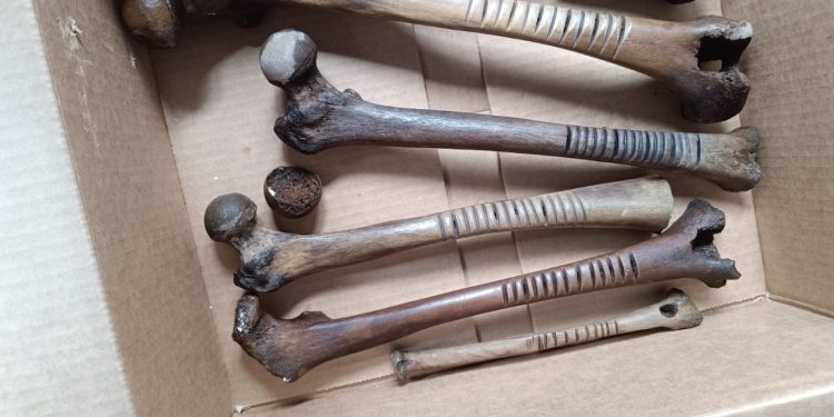 Vestigios prehispánicos hallados en lago de Pátzcuaro habrían sido arrojados como ofrenda