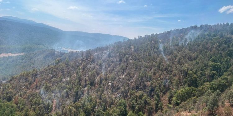 Con ayuda de helicóptero con helibalde apagan incendio forestal en Queréndaro
