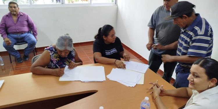 Integran la primera cooperativa de apicultores en Nuevo Urecho