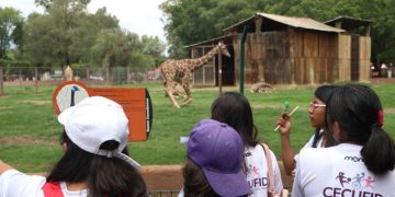 Conoce la oferta de cursos de verano y natación 2024 de la Cecufid