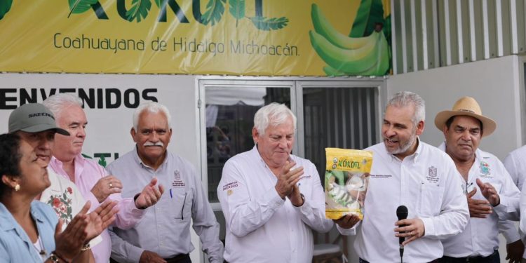 Michoacán tiene la primera planta procesadora de harina de plátano