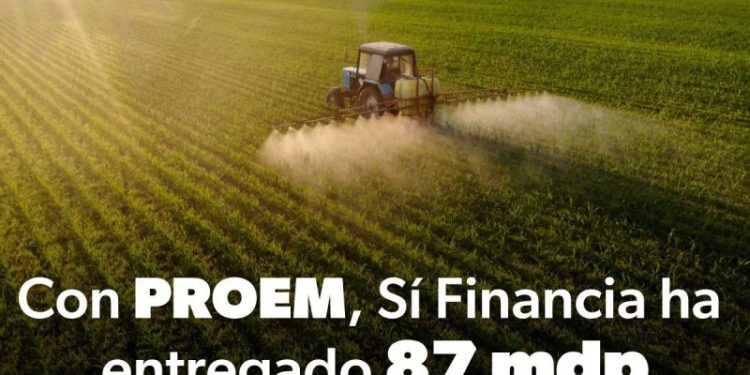 Sí Financia ha entregado 87 mdp en créditos para empresas agroalimentarias