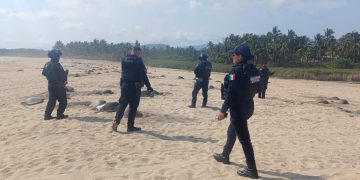 Guardia Civil protege arribo de tortugas marinas en Aquila