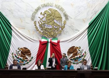 Centros asistenciales y de reinserción social, con pleno respeto a derechos humanos: 75 Legislatura