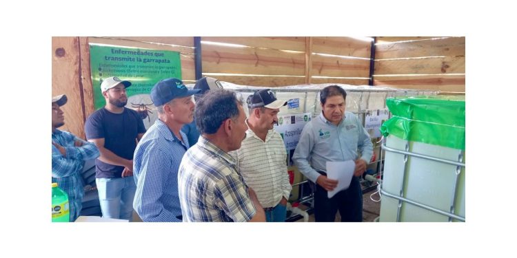 Con nueva biofábrica fortalecen producción ganadera y de aguacate en Cotija: Sader