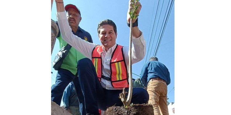 Invita gobierno de Morelia sumarme al programa “Planta un Árbol en tu Banqueta