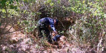 Comisión de Búsqueda de Personas colabora con colectivos en acciones conjuntas