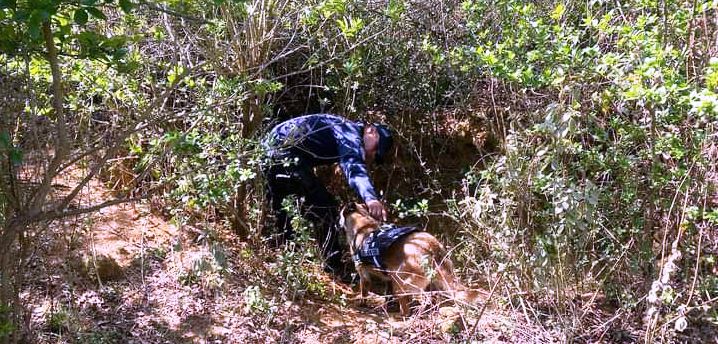 Comisión de Búsqueda de Personas colabora con colectivos en acciones conjuntas