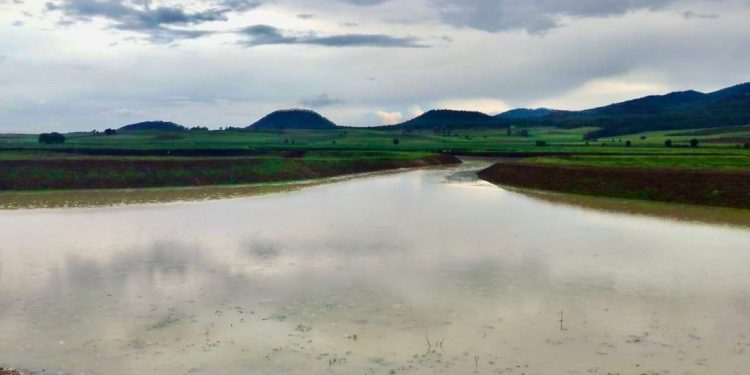 Tras labores de limpieza, renace laguna de Zinciro, en Erongarícuaro