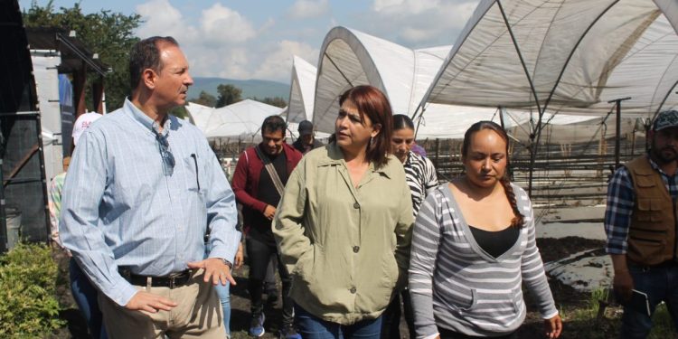 Es fundamental el Sistema Estatal de Cuidados y mejorar acceso a la salud de jornaleras agrícolas: Fabiola Alanís