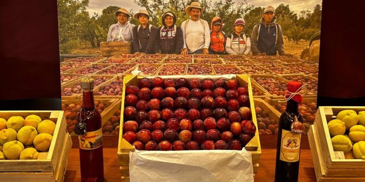 Disfruta la riqueza frutal de Jeráhuaro en su expo regional