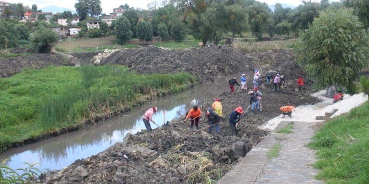 Se ampliarán empleos temporales para reforestar cuenca del lago de Pátzcuaro