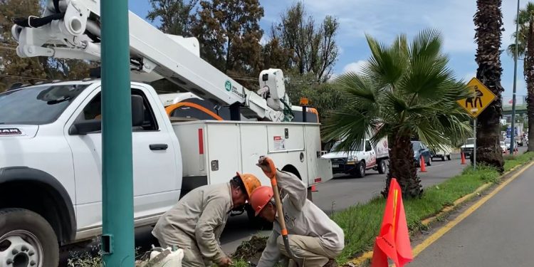 Gobierno Municipal y vecinos realizan limpia en El Vergel