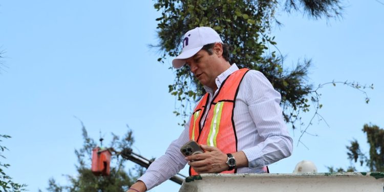 Alfonso Martínez supervisa poda sanitaria de árboles en Av. Camelinas