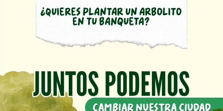 obierno de Morelia pone el árbol y tú elige la banqueta