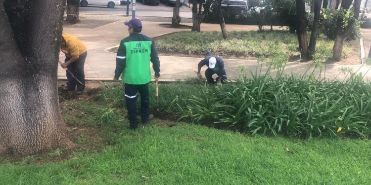 Continúa limpieza y embellecimiento de espacios públicos en Morelia