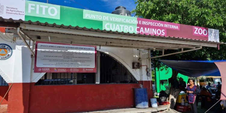 Michoacán aumentó inversión en sanidad vegetal, acuícola y pecuaria: Sader