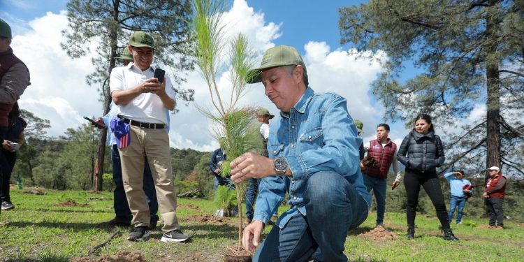 La restauración de la naturaleza es un estilo de vida y no una ocurrencia: Navarro García