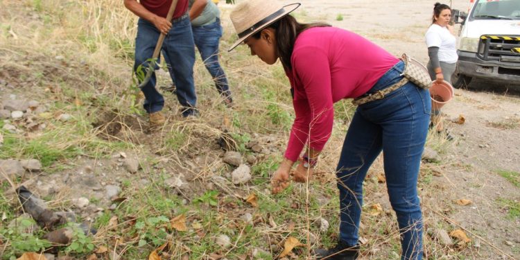 El medio ambiente, será un eje central en mi administración: Fanny Arreola