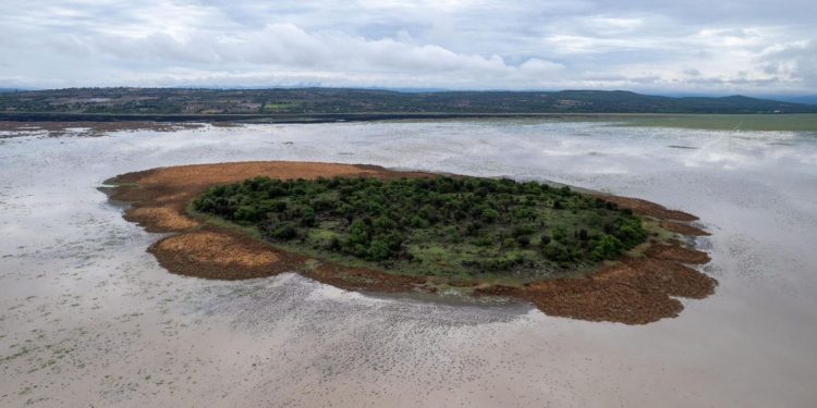 Para recuperar el lago de Cuitzeo se han invertido 200 mdp