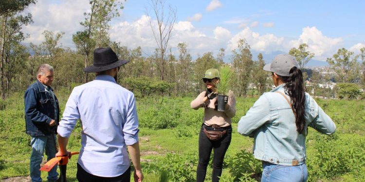 Arranca Gobierno estatal reforestación de Áreas Naturales Protegidas