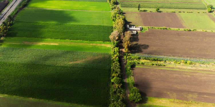 Ofrece Sader seguro agrícola a pequeños productores de temporal