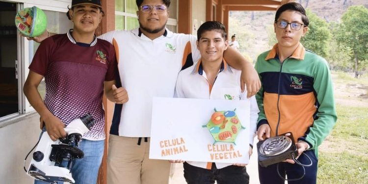 Conoce las carreras técnicas que el Cecytem ofrece en Tierra Caliente