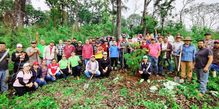 Ayuntamiento del municipio de Juárez impulsa acción de reforestación