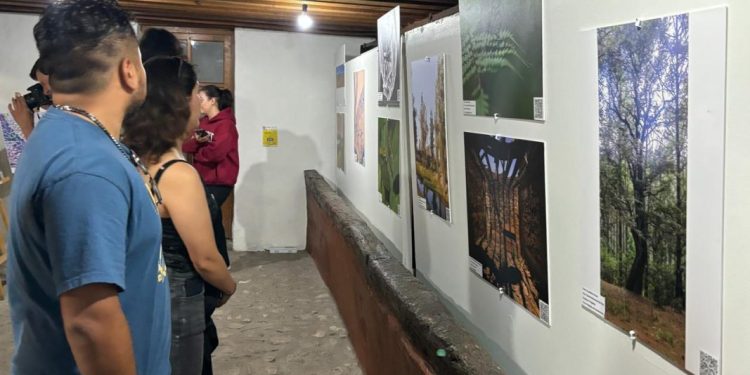 Premian las mejores imágenes del Concurso de Fotografía Científica