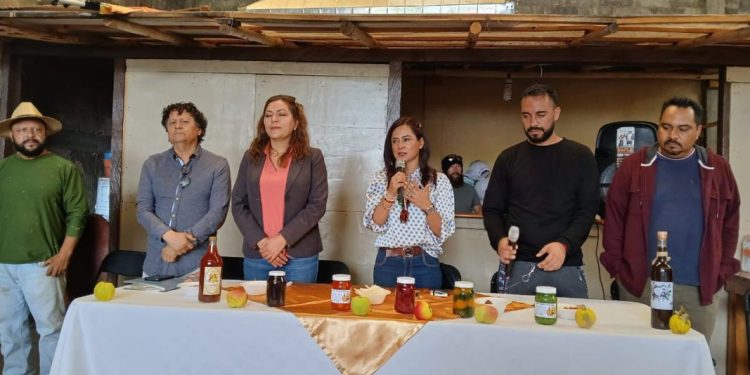 Van fruticultores de Zinapécuaro y Sader por valor agregado al durazno y ciruela