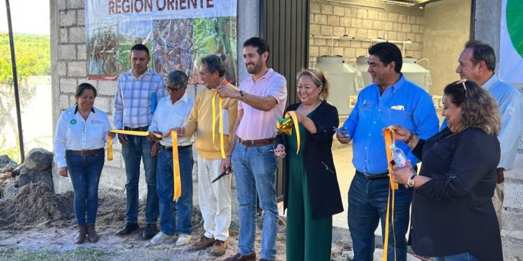 Sader y productores ponen en operación biofábrica en Maravatío