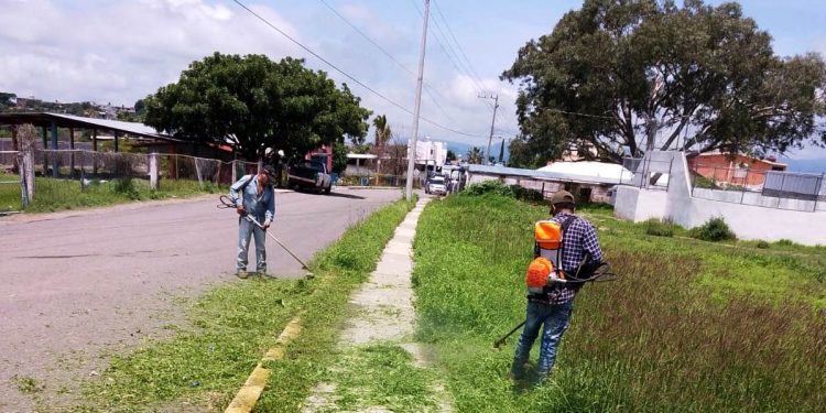 Ayuntamiento del municipio de Juárez realiza dasasolves, arreglo de alumbrado público y limpieza