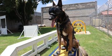 Embajada de EUA dona a SSP equipamiento médico y de adiestramiento canino