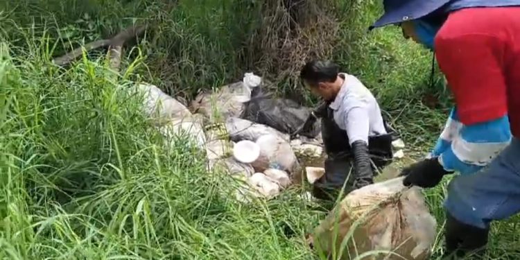 Gobierno Municipal implementa intensa jornada de limpieza preventiva en ríos y drenes