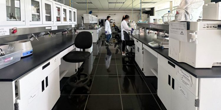 Ofrece Sader 40 % de descuento a productores agroalimentarios para estudios de laboratorio