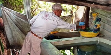Combate el dengue desde casa con estas sencillas acciones que comparte la SSM