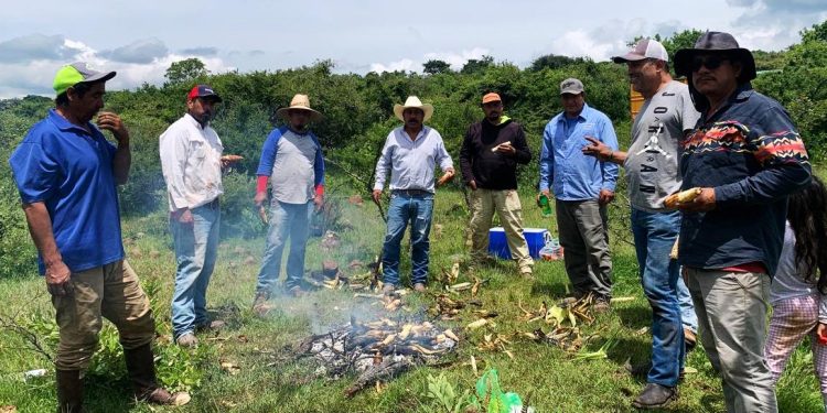 Brigada Puruándiro Siempre Verde impulsa reforestación y labor social