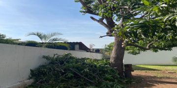 Se mantiene alerta IMSS Michoacán ante fenómenos hidrometeorológicos