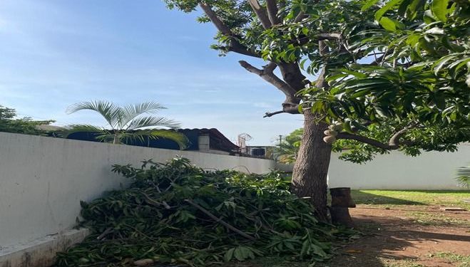 Se mantiene alerta IMSS Michoacán ante fenómenos hidrometeorológicos