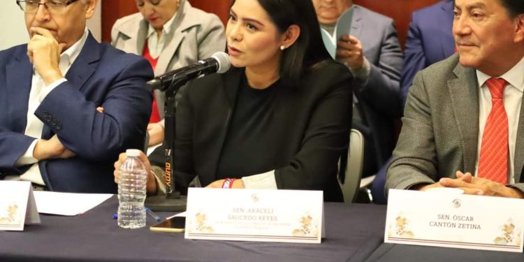 Araceli Saucedo integra comisión de Hacienda y Crédito Público en el Senado de la República