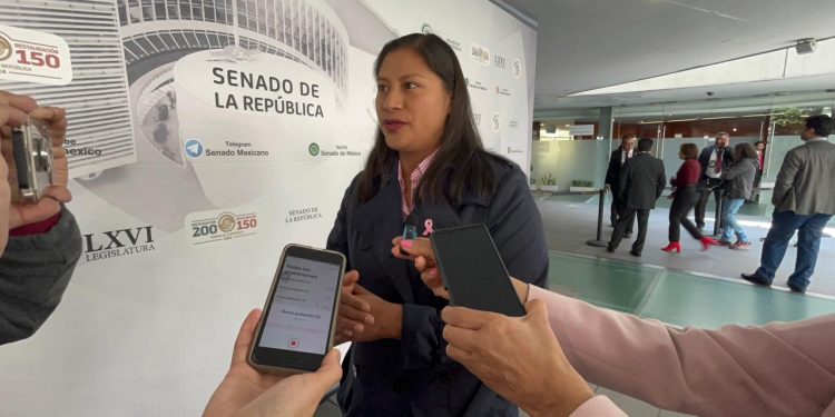 Anuncia Celeste Ascencio el Parlamento Abierto para la elección de la CNDH
