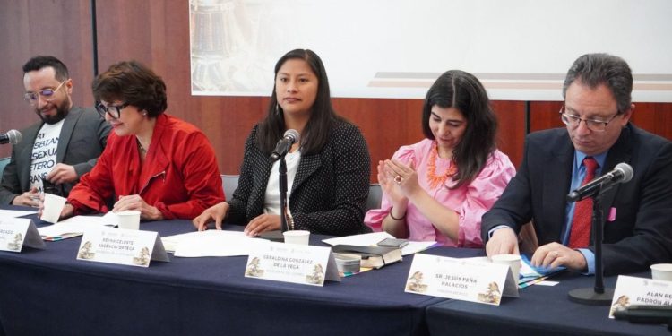 Se debe garantizar el acceso a la justicia a víctimas de terapias de conversión: Celeste Ascencio