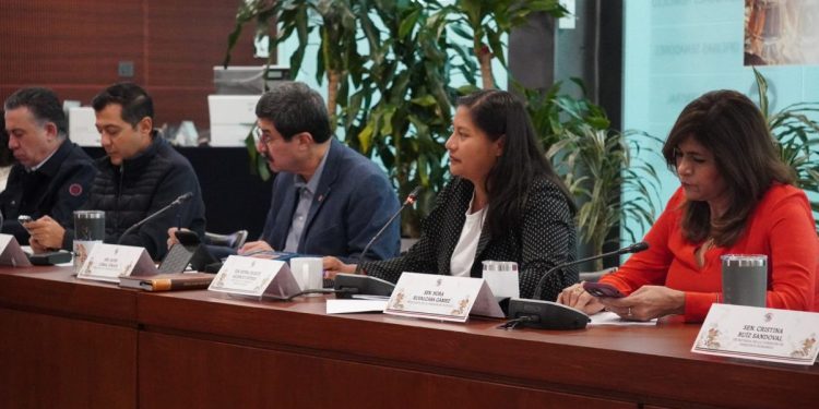 Con imparcialidad y transparencia, comparecencias para renovar CNDH: Celeste Ascencio