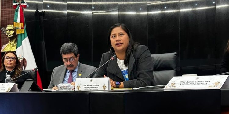 Exige Celeste Ascencio justicia para la maestra indígena Selene Solís