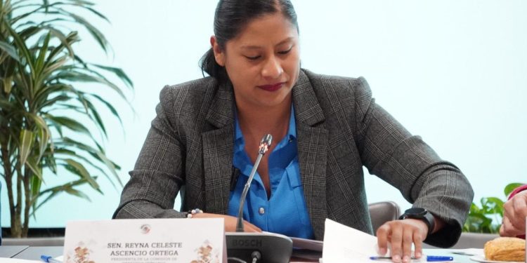 Encabeza Celeste Ascencio comparecencias para elección o reelección de la CNDH