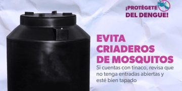 Sigue estas recomendaciones de la SEE para prevenir el dengue en escuelas