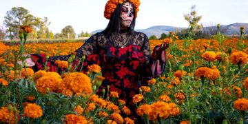 Vive la experiencia de recorrer los campos de cempasúchil en Copándaro